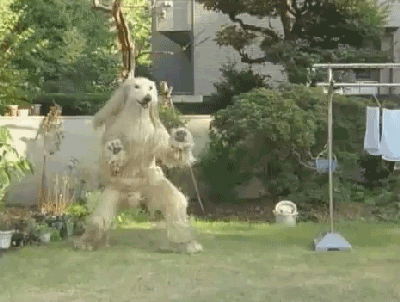 DAA563721763ffd0.gif