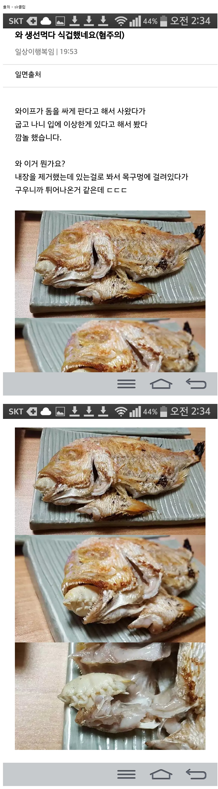 1448329436388854.jpg
