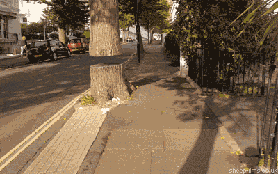 나무나무.gif
