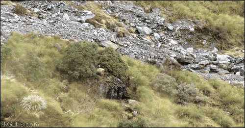 7adc27e1b4758c372487fb5d73e26eed.gif