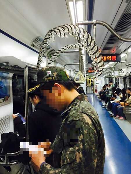 메뚜기1.jpg