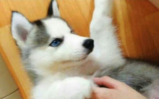 KakaoTalk_20160105_111930394.png