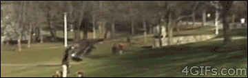 tumblr_nnkmz0iM331r17efeo1_400.gif