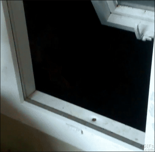 HAw55dc7b2995479_CxR9YOspT.gif