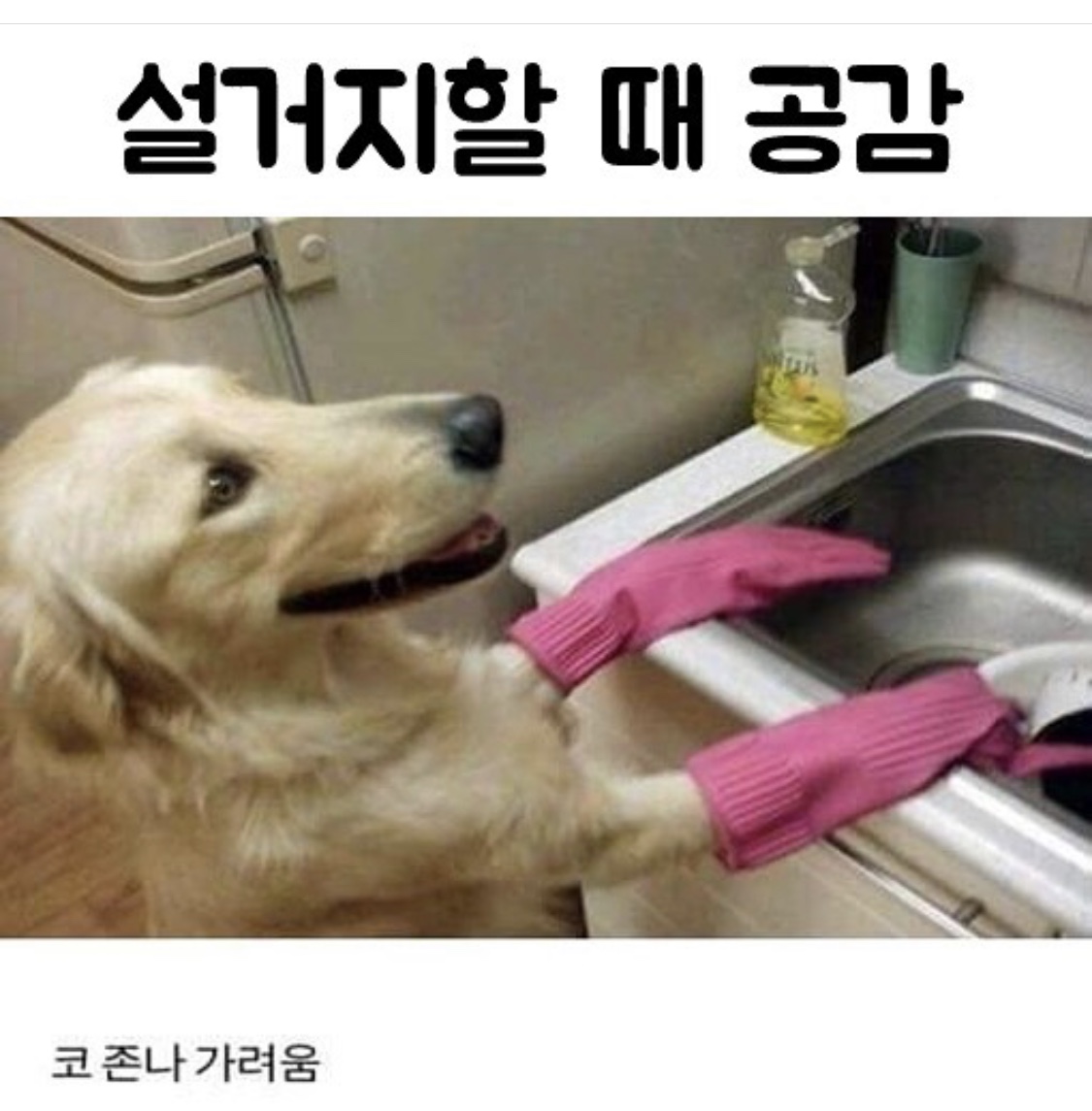 펀글게시판 - 설거지 공감 펀글게시판 - 설거지 공감