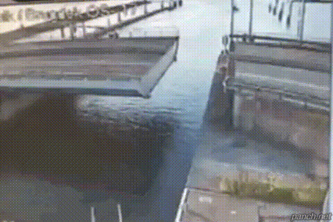 1 (1).gif