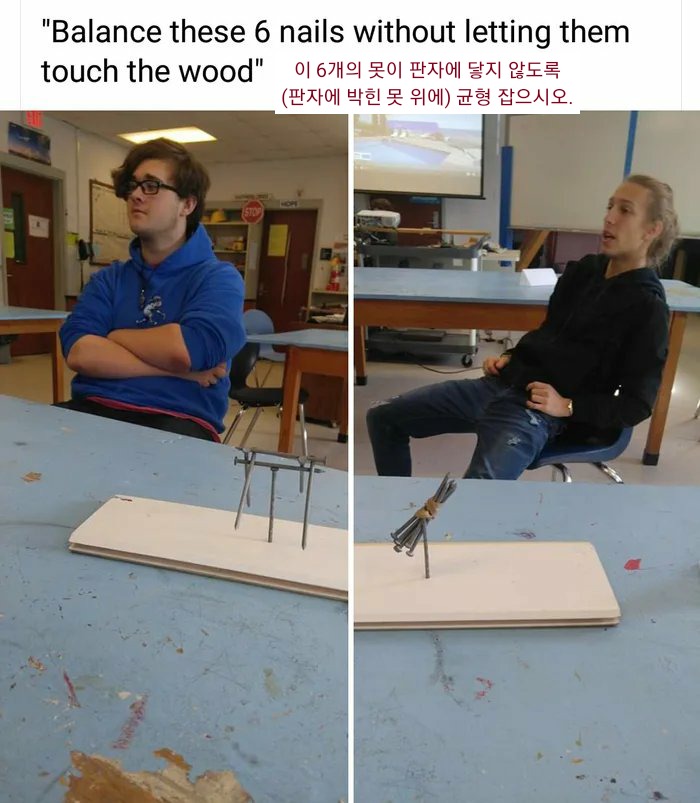 누가 더 똑똑한 걸까요....jpg