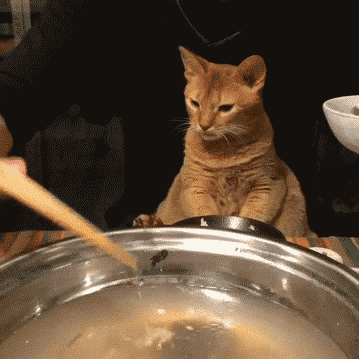 tumblr_nov9dtGm8b1u76jino1_400.gif
