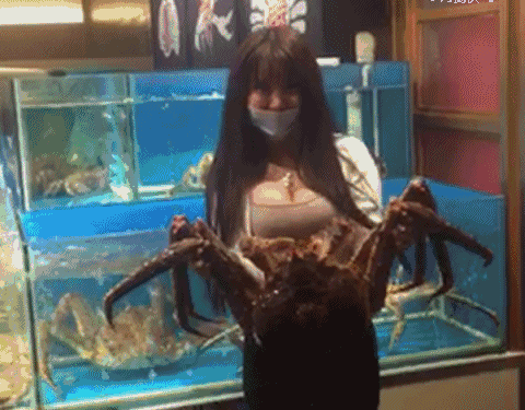 20161209_115413_-1293105033.gif
