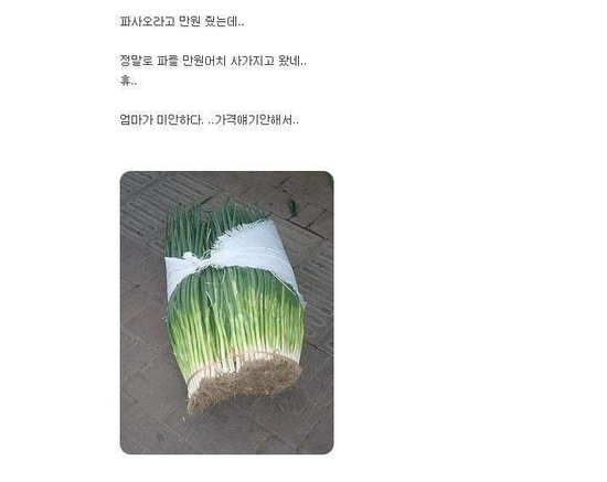 파 사오라고 만원 줬더니.png