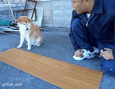 2a63aa31b65072e77b83c0588c77e126.gif