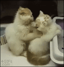 1470477070350.GIF