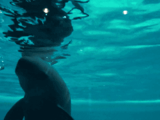 anigif.gif