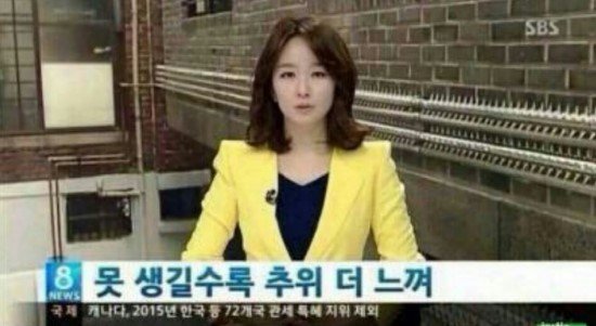 개슬픔.jpg