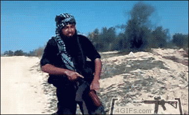 i0162460316.gif