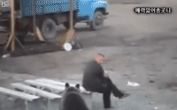 bear.gif