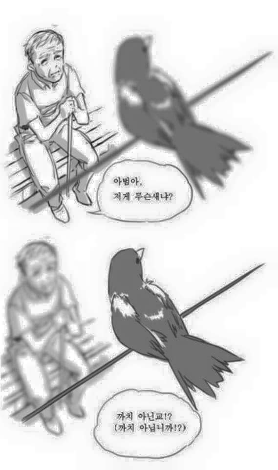 __1.jpg