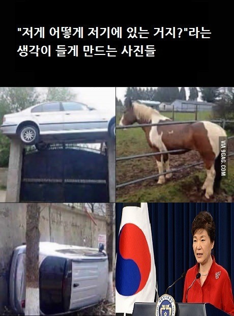 저게어케저기있지.jpg