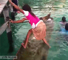 크기변환_발로 물빼는.gif