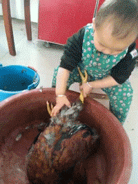 닭털뽑기.gif