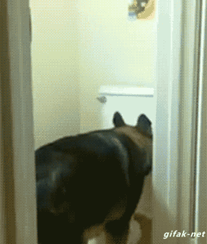 tumblr_nn46nb4NHF1s2yegdo1_400.gif