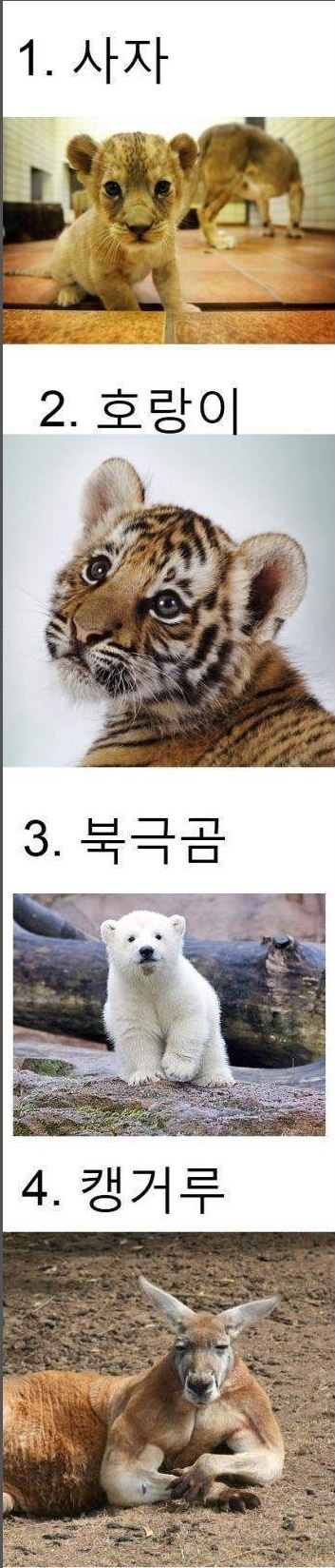 가장세보이는동물은.JPG