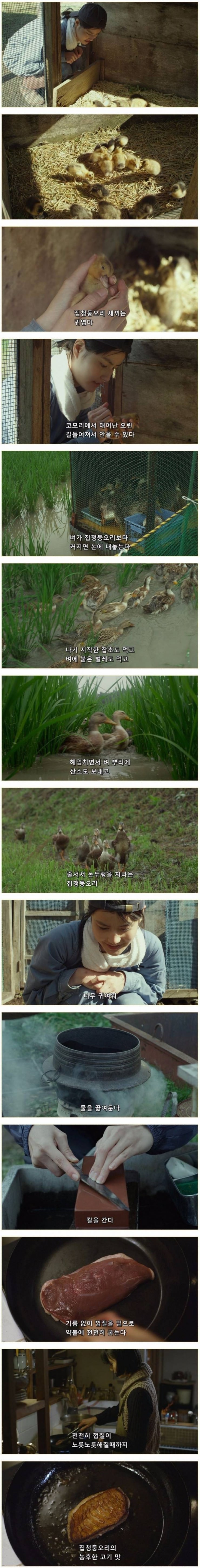 다오리는 귀엽.jpg