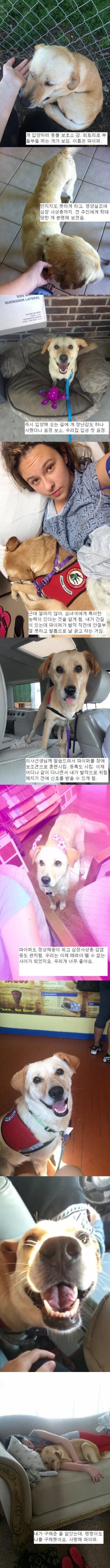 내가 구해준줄 알았는데......jpg