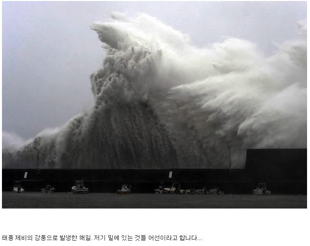 태풍 제비가 상륙한 일본 근황2.JPG