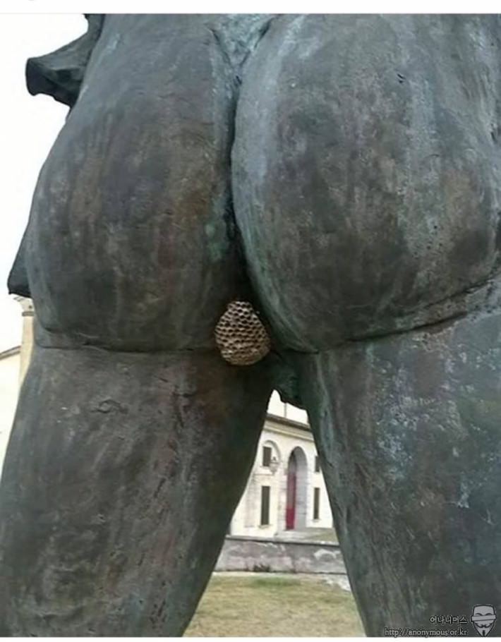 똥꼬가 벌집된...(정직한 제목!!!).jpg