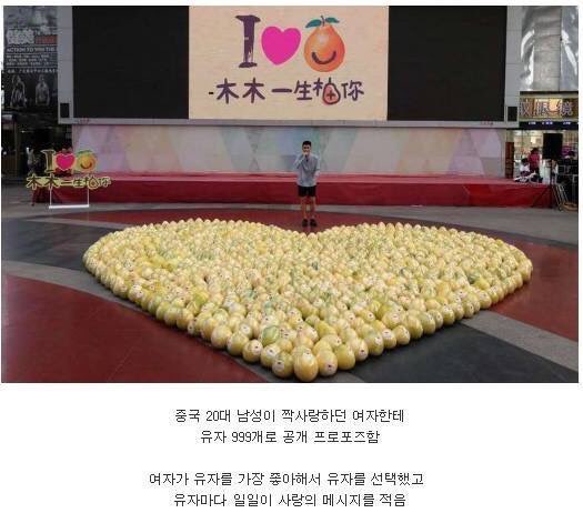 감귤1.jpg