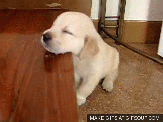 2001446434_Tk7Yqs02_B9ABB0C5BFEE_B8D3B8AE__28129.gif