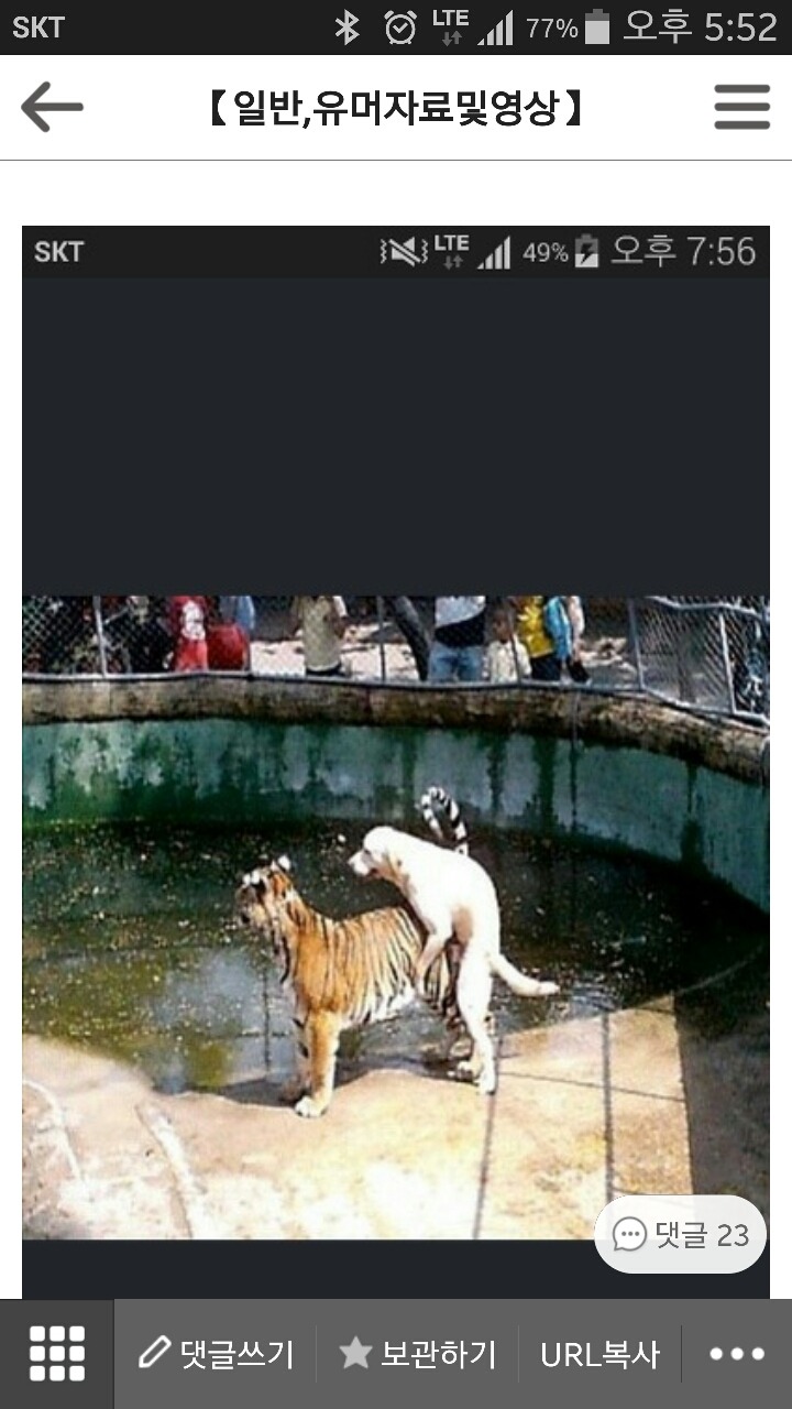 위험한사랑.jpg