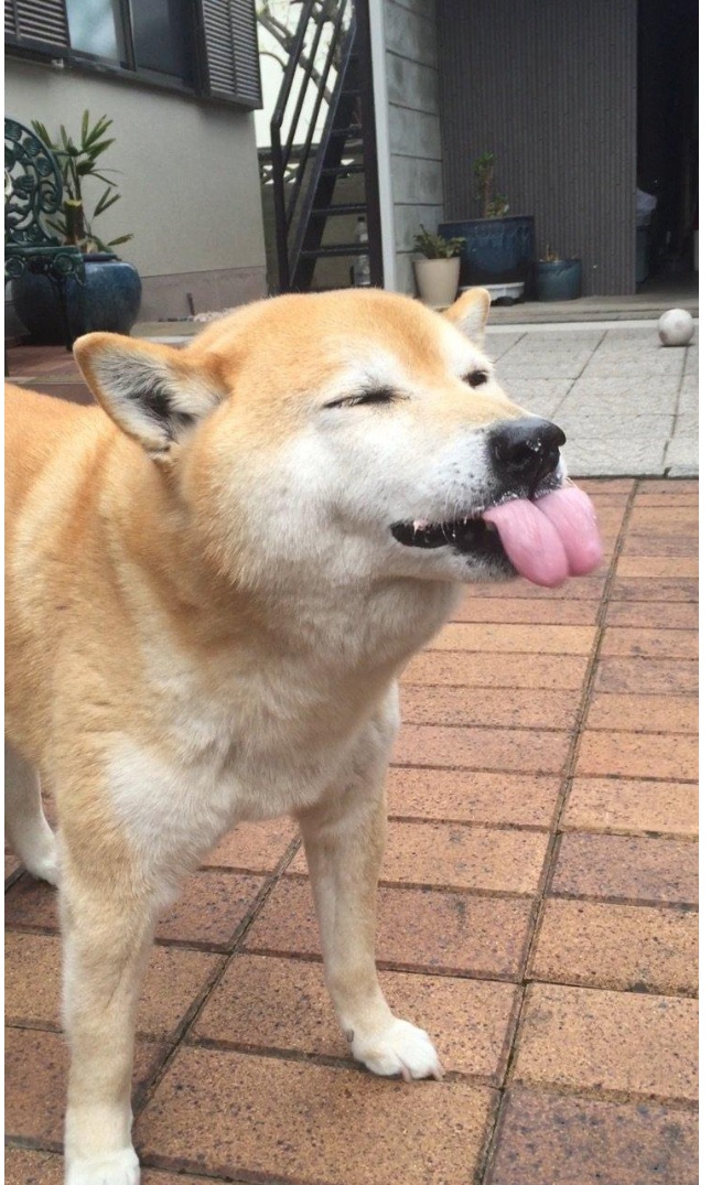 honey3.jpg