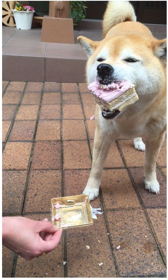 honey1.jpg