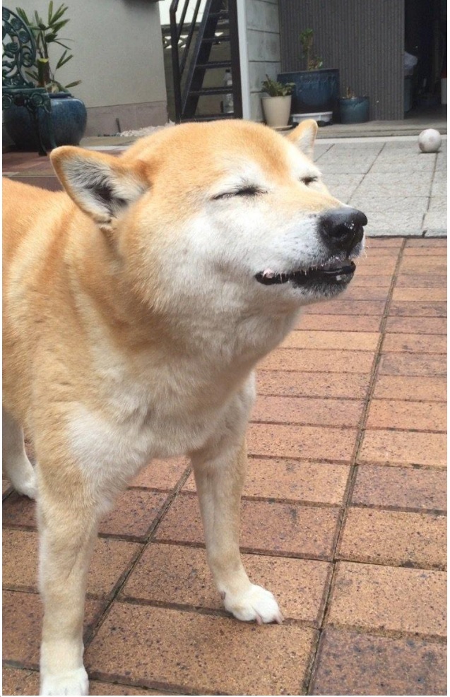 honey2.jpg
