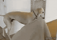 warm.gif