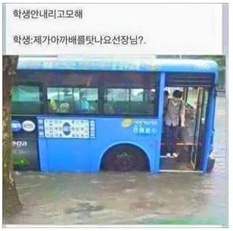 bus.jpg