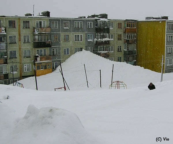 thumImage (3).jpg