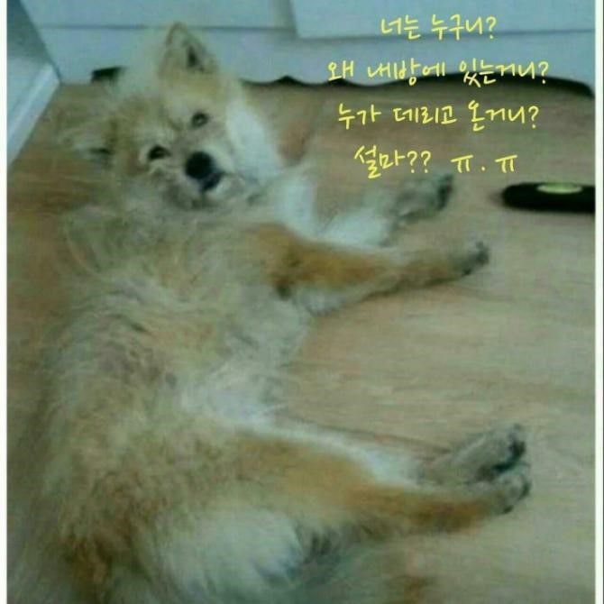 술마신다음날05.jpg