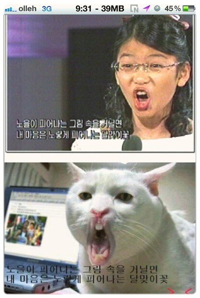 노을이 피어나는 그림속을 거닐면.jpg