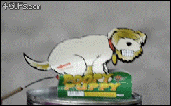 Bgw554e0a8382ea1.gif