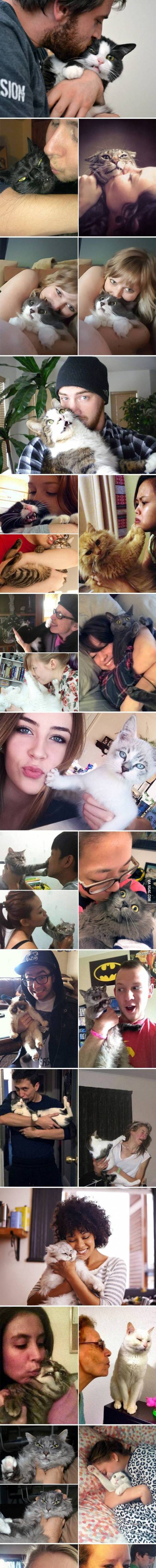 극한직업 고양이1.jpg