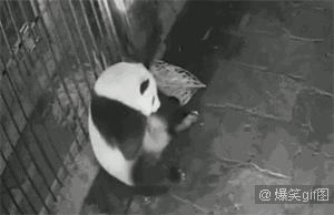 ae7f789e6ac051a7306734896d1c1567.gif