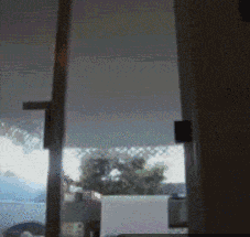 냥이_1~1.GIF