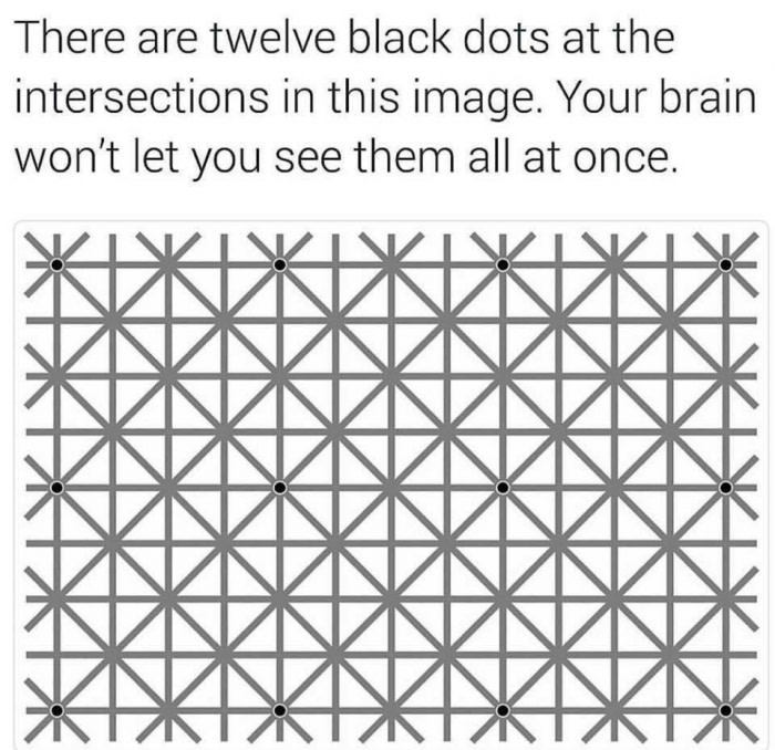 12dot.jpg