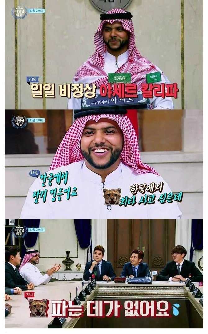 치타.jpg