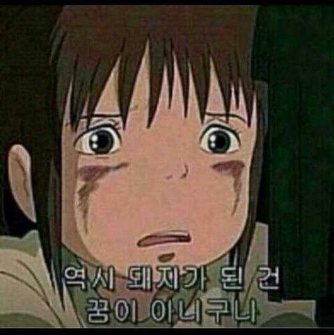 돼지.jpg
