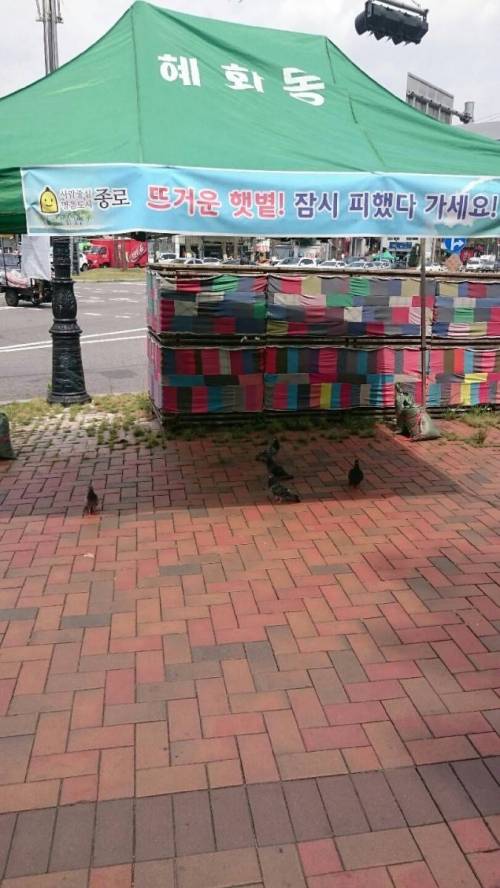 비둘기 쉼터.jpg