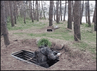 GAo54f49f6608bc1.gif
